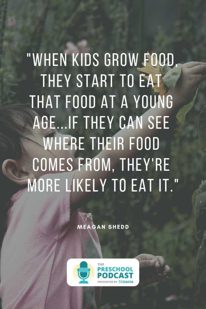 farm to table in early childhood education