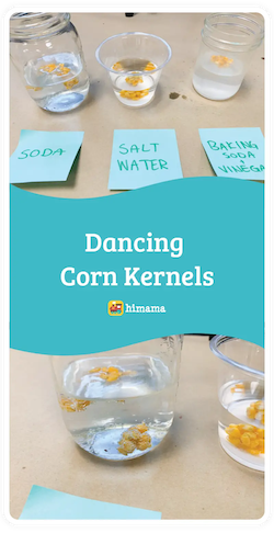 dancing corn kernels